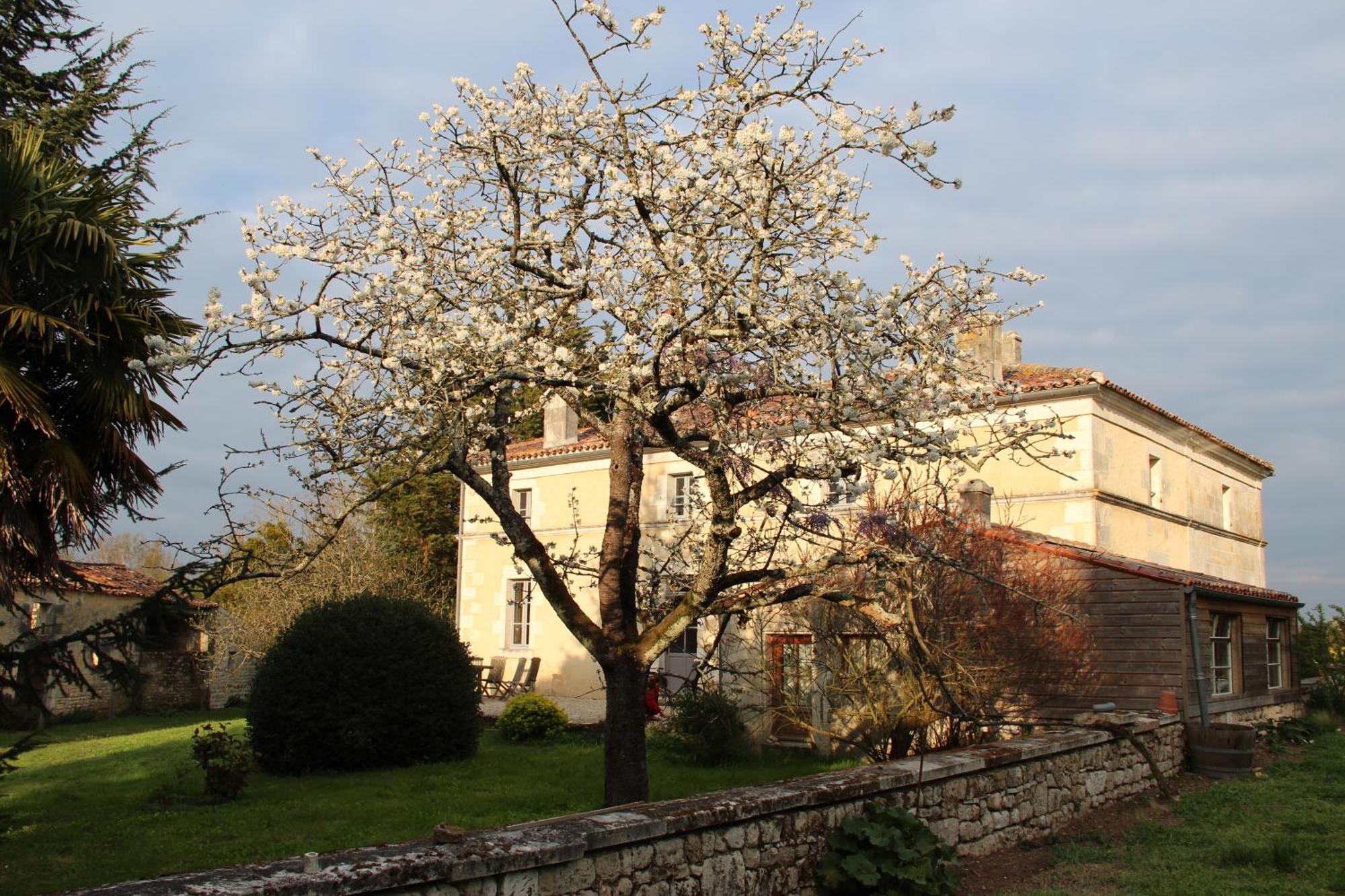 Domaine Terroceane Hotell La-Gripperie-Saint-Symphorien Eksteriør bilde