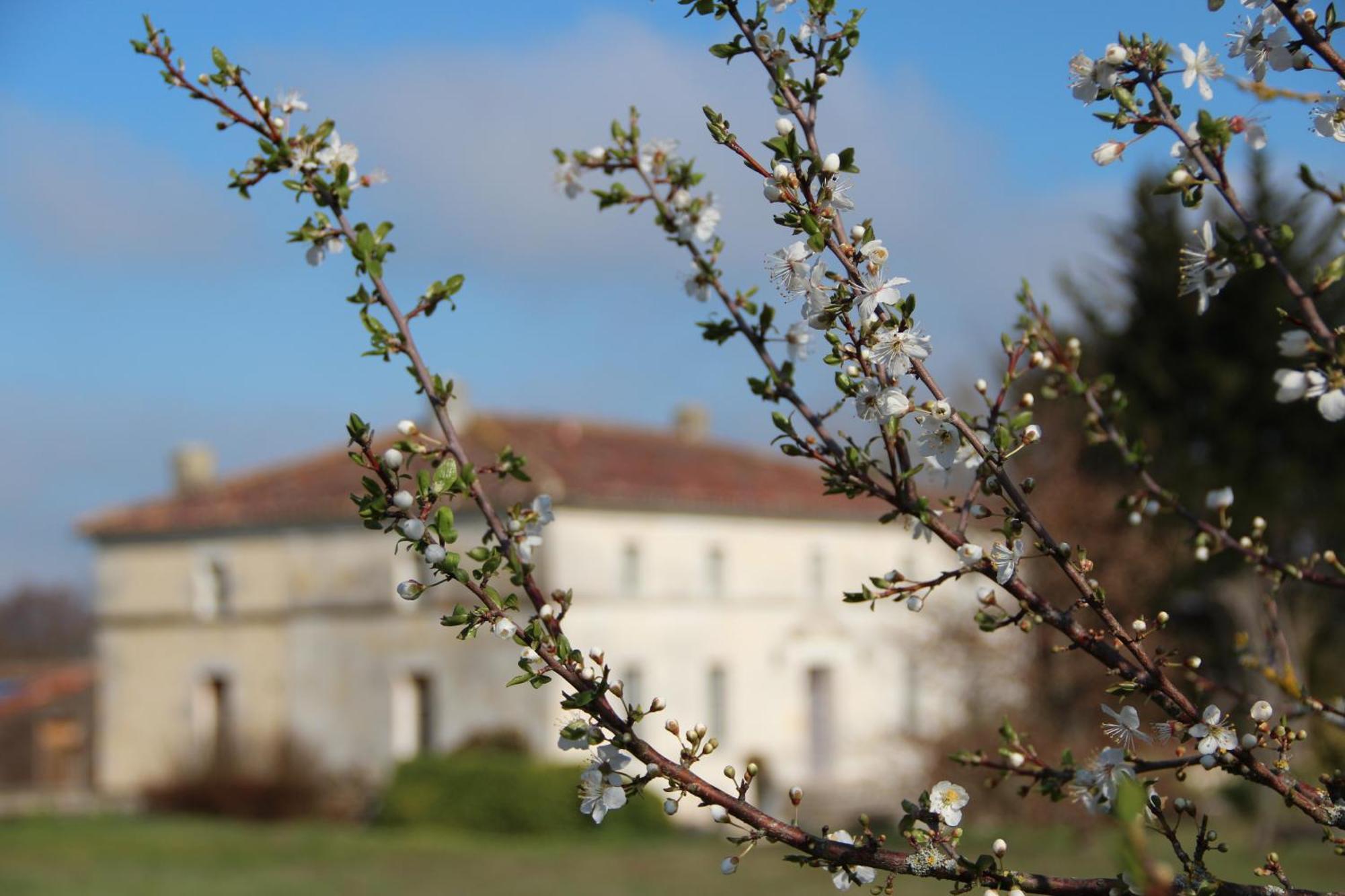 Domaine Terroceane Hotell La-Gripperie-Saint-Symphorien Eksteriør bilde